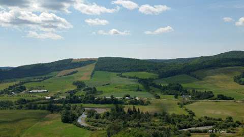 Sussex Bluff Trail